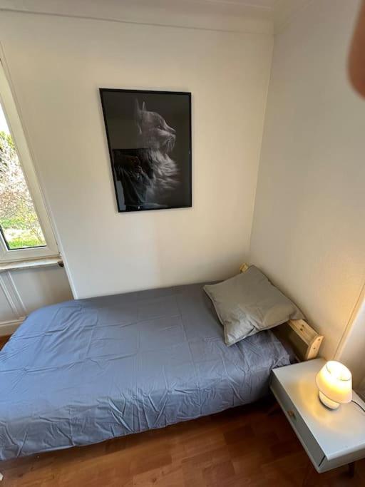 Lutterbach Magnifique Appartement F3. 4 A 6 Personnes מראה חיצוני תמונה
