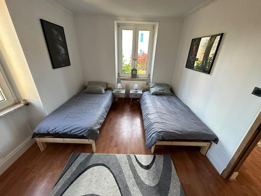 Lutterbach Magnifique Appartement F3. 4 A 6 Personnes מראה חיצוני תמונה